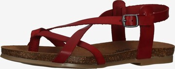 COSMOS COMFORT Strap Sandals in Red: front