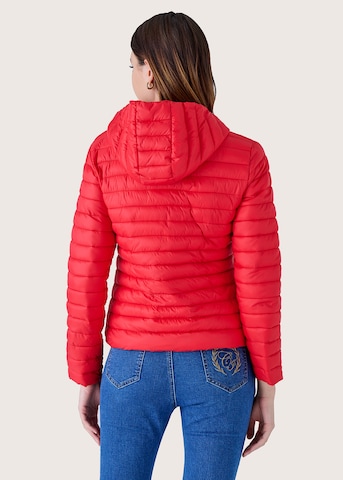 Camomilla Tussenjas 'PATRIK' in Rood