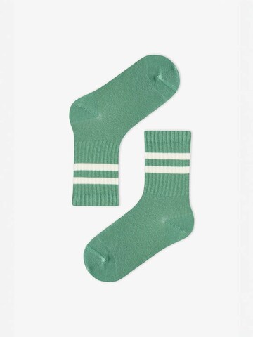 Penti Socken 'PENTI Jungen Greeny gestreifte Paar Socken'‌‌‌‌ in Mischfarben