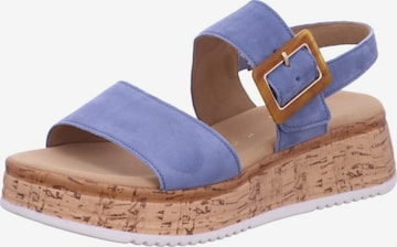 Sandalo 'Sandalette Damen 62.744 26 Echtleder in blau' di Gabor Comfort in blu: frontale