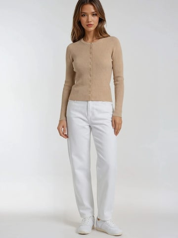 MixRay Knit Cardigan in Brown