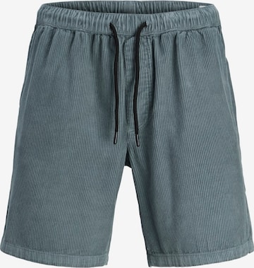Pantaloni di JACK & JONES in blu: frontale