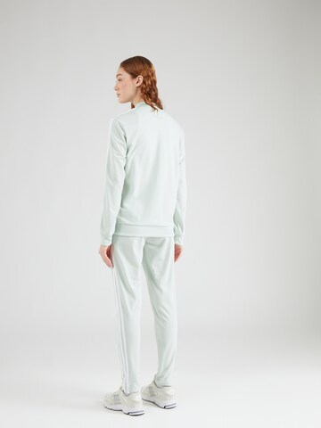 zaļš ADIDAS SPORTSWEAR Treniņtērps 'Essentials'