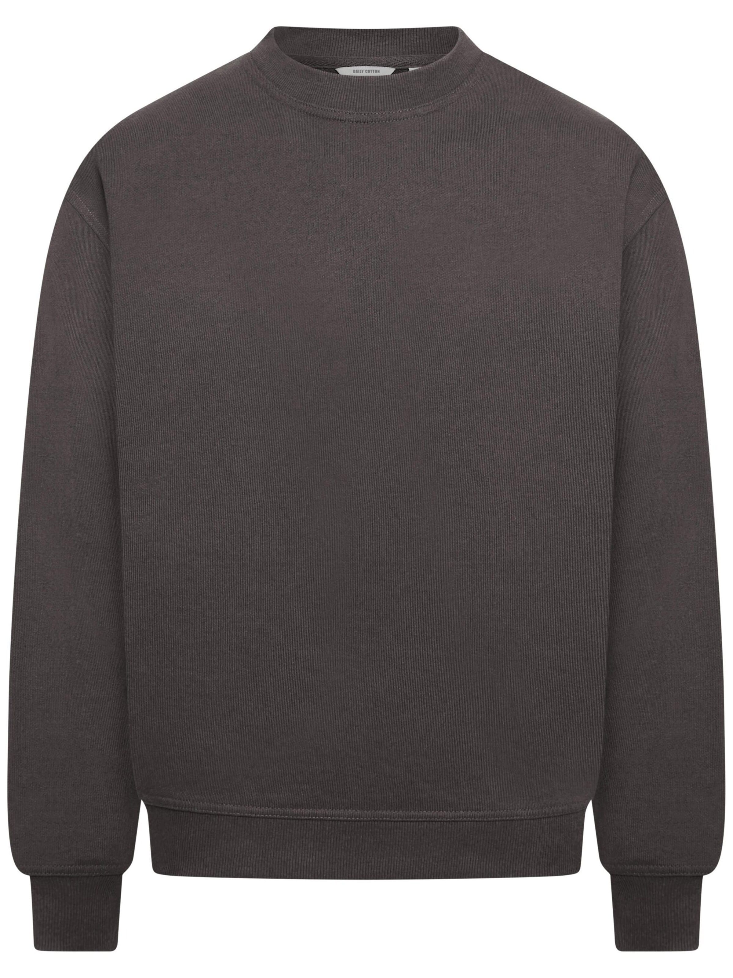 Daily Cotton Sweatshirt 'DCSORIA' in Grey: front
