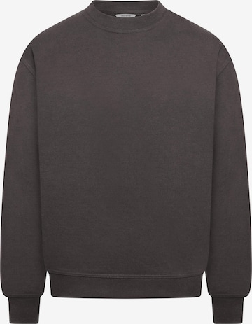 Daily Cotton Sweatshirt 'DCSORIA' in Grey: front