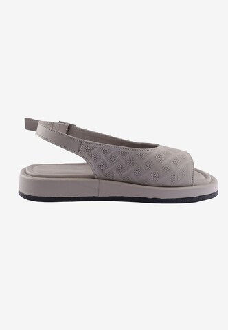 D.MoRo Shoes Sandals 'Shutomis' in Grey