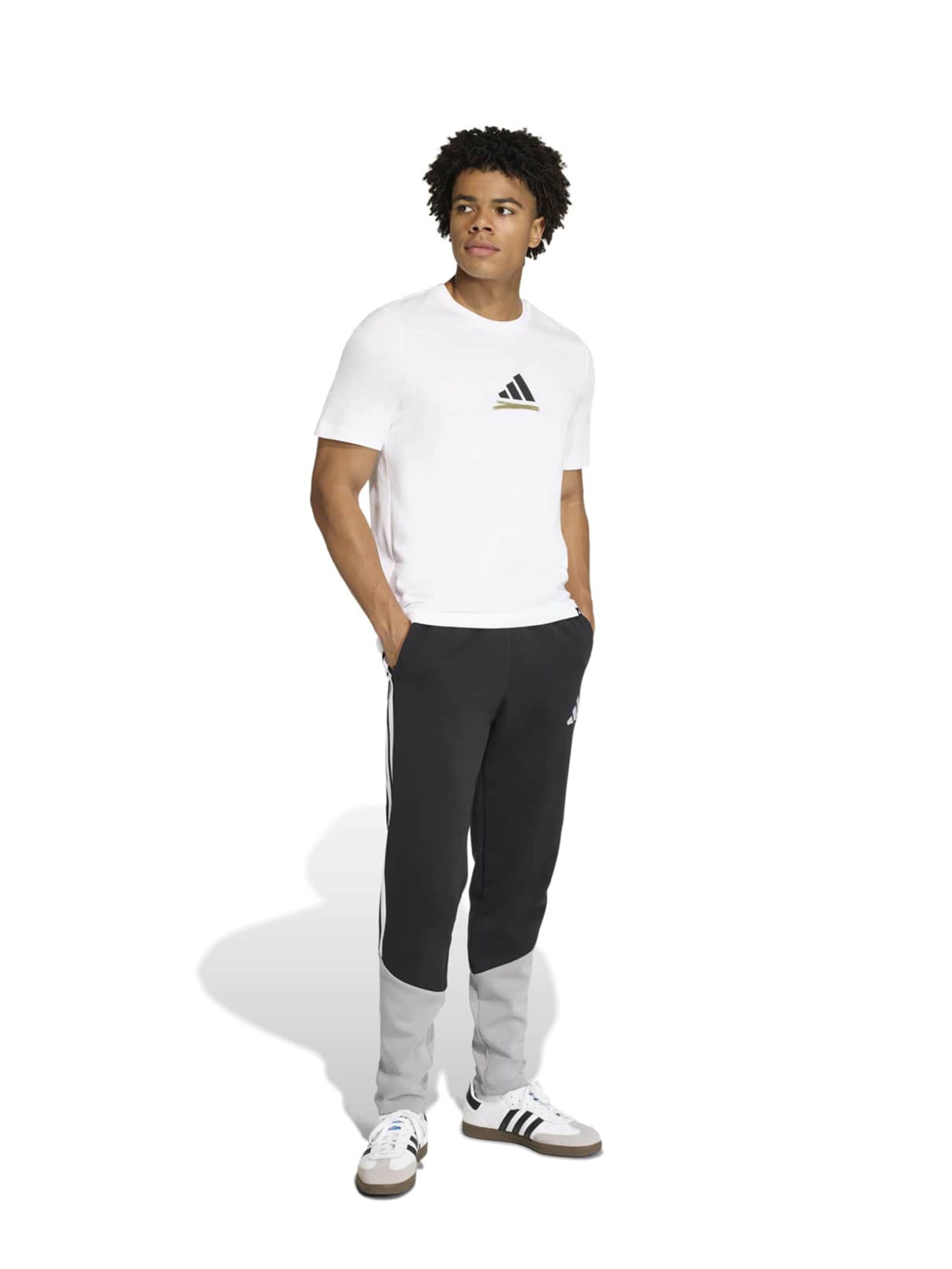 T-shirt fonctionnel 'GER TLSTR' ADIDAS PERFORMANCE en blanc