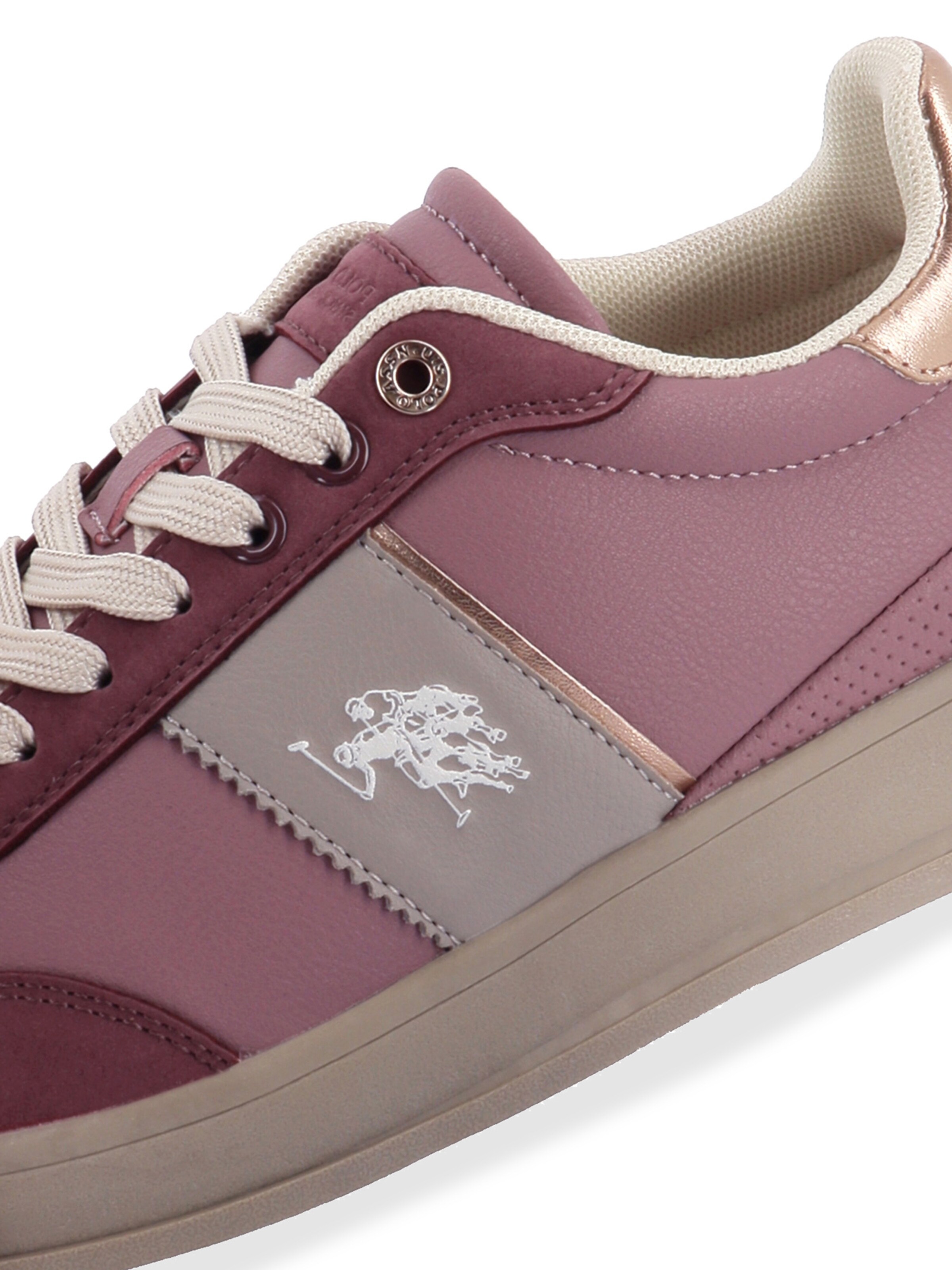 Baskets basses 'Campy' US POLO ASSN. en violet