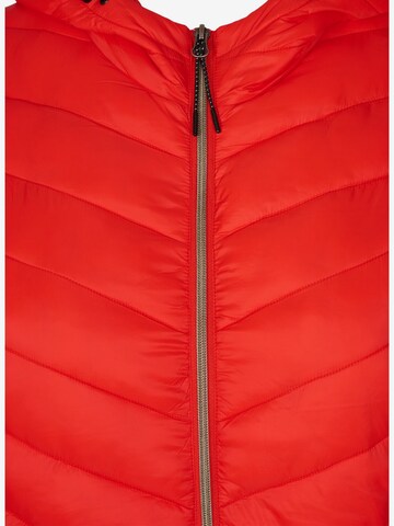 Zizzi Between-season jacket in Red