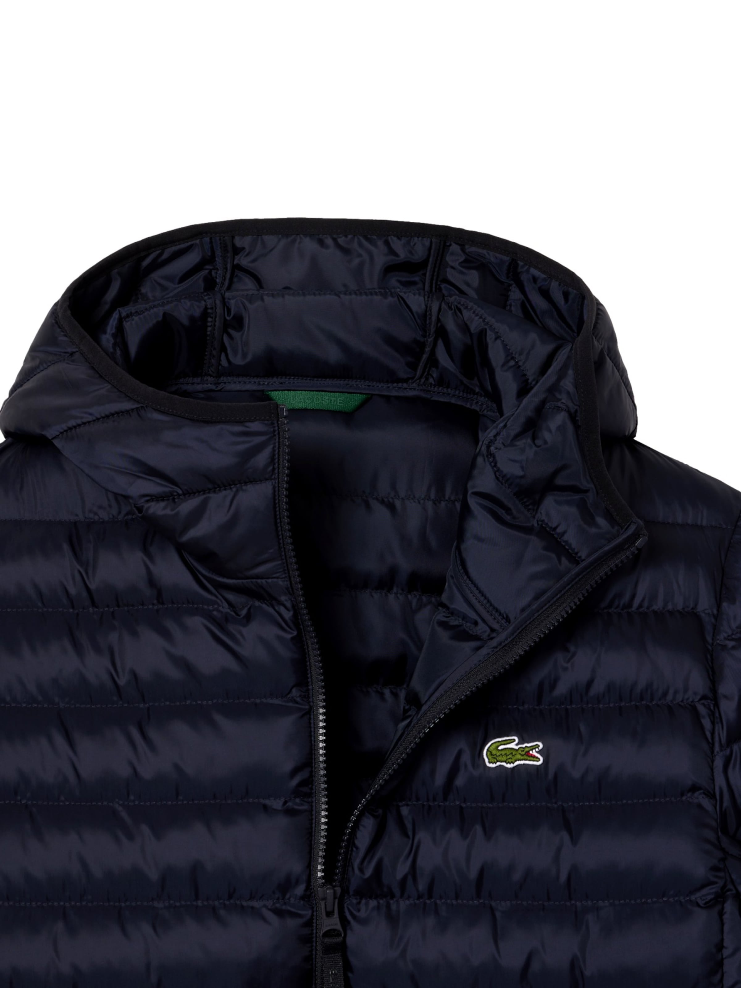 Giacca invernale di LACOSTE in blu