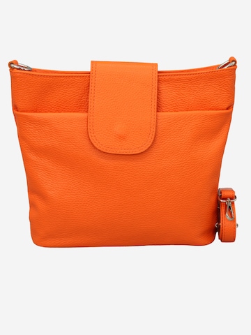 Brise Crossbody Bag 'Ellie' in Orange: front
