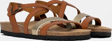 Bayton Sandalen met riem 'Gerone' in Bruin