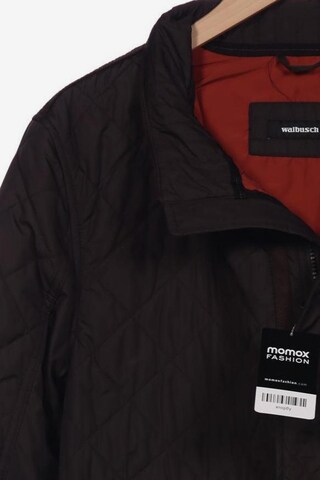 Walbusch Jacket & Coat in XL in Grey