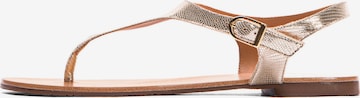 Kazar Flip-Flops i gull: forside