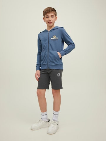 Jack & Jones Junior Štandardný strih Nohavice 'Shark' - Sivá