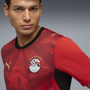 PUMA Αθλητική φανέλα 'EFA Home' σε κόκκινο