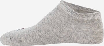 Champion Authentic Athletic Apparel Athletic Socks in Grey