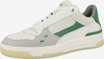 Baskets basses 'Cruiser' Filling Pieces en blanc : devant