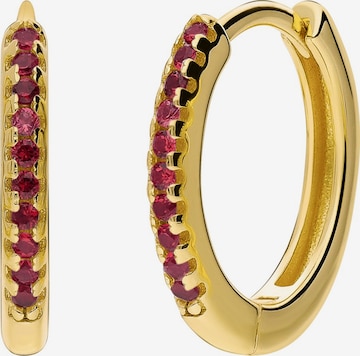 Boucles d'oreilles Lucardi en or : devant