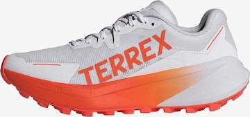 Chaussure basse 'Agravic 3' ADIDAS TERREX en blanc : devant