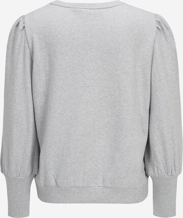 Sweat-shirt Dorothy Perkins Petite en gris