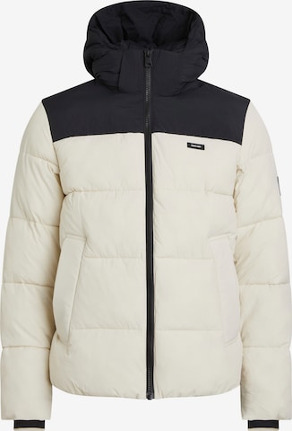 Calvin Klein Big & Tall Winterjacke in Beige: predná strana