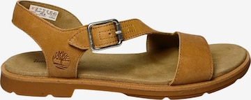 TIMBERLAND - Sandália em castanho: frente