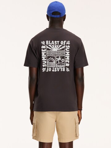 T-Shirt Shiwi en gris : devant