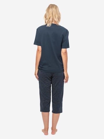 SCHIESSER Pyjama 'Cotton' in Blauw