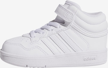 Sneaker 'Hoops 4.0' di ADIDAS SPORTSWEAR in bianco: frontale