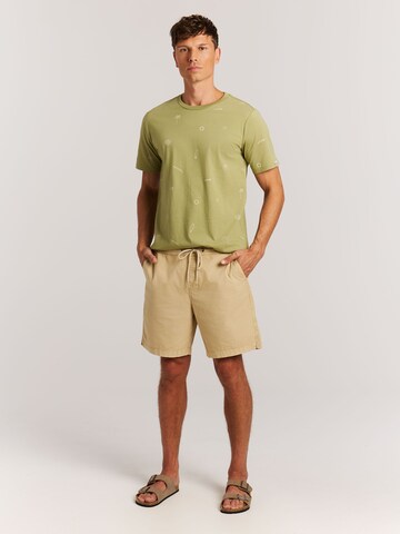 PROTEST Regular Hose 'PRTNivel' in Braun