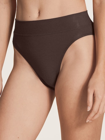 CALIDA Regular Panty in Brown: front