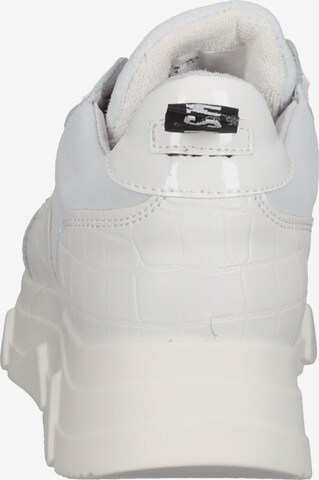 STEVE MADDEN Sneakers in White