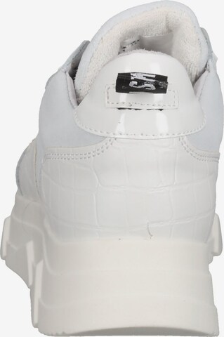 Baskets basses STEVE MADDEN en blanc