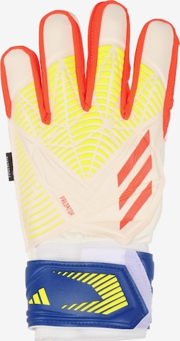 ADIDAS PERFORMANCE Urheilukäsineet 'Predator Edge Fingersave Match Goalkeeper' värissä valkoinen