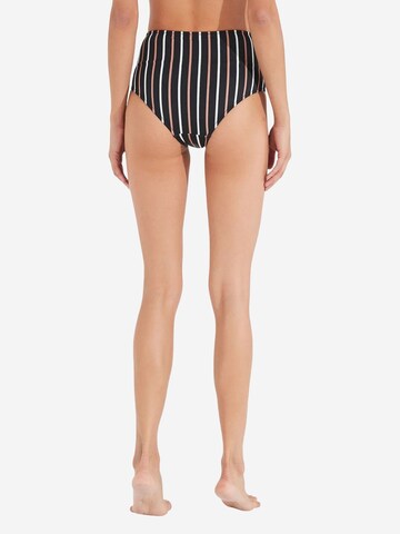 Penti Bikini bottom 'Bikinihosen' in Black