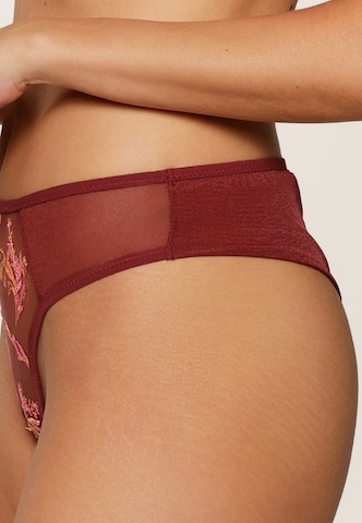 LingaDore String in Rood