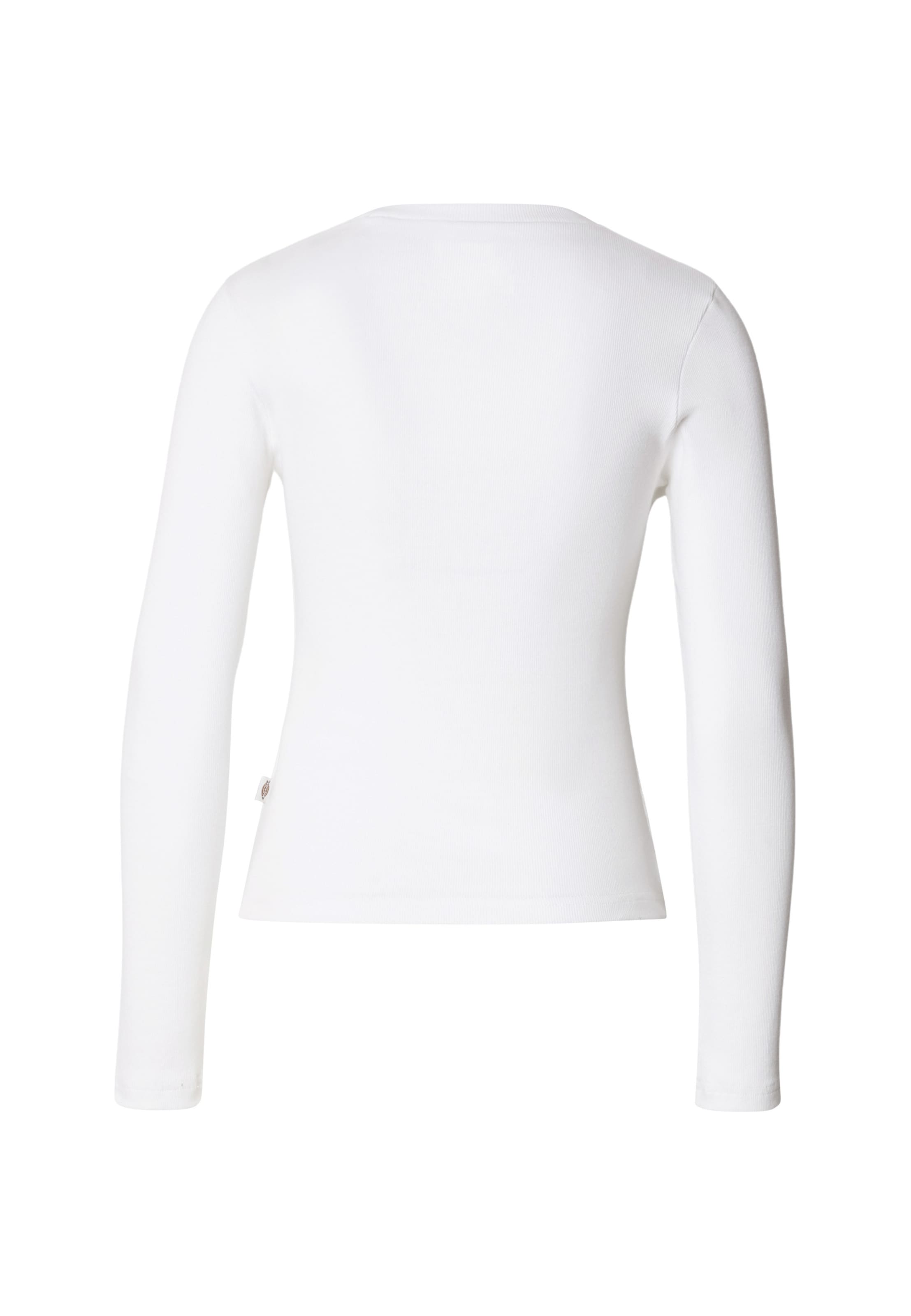T-shirt 'Gladeville' DICKIES en blanc