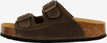 Mule Plakton en vert