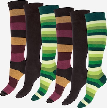 footstar Knee High Socks 'Ringel' in Green: front