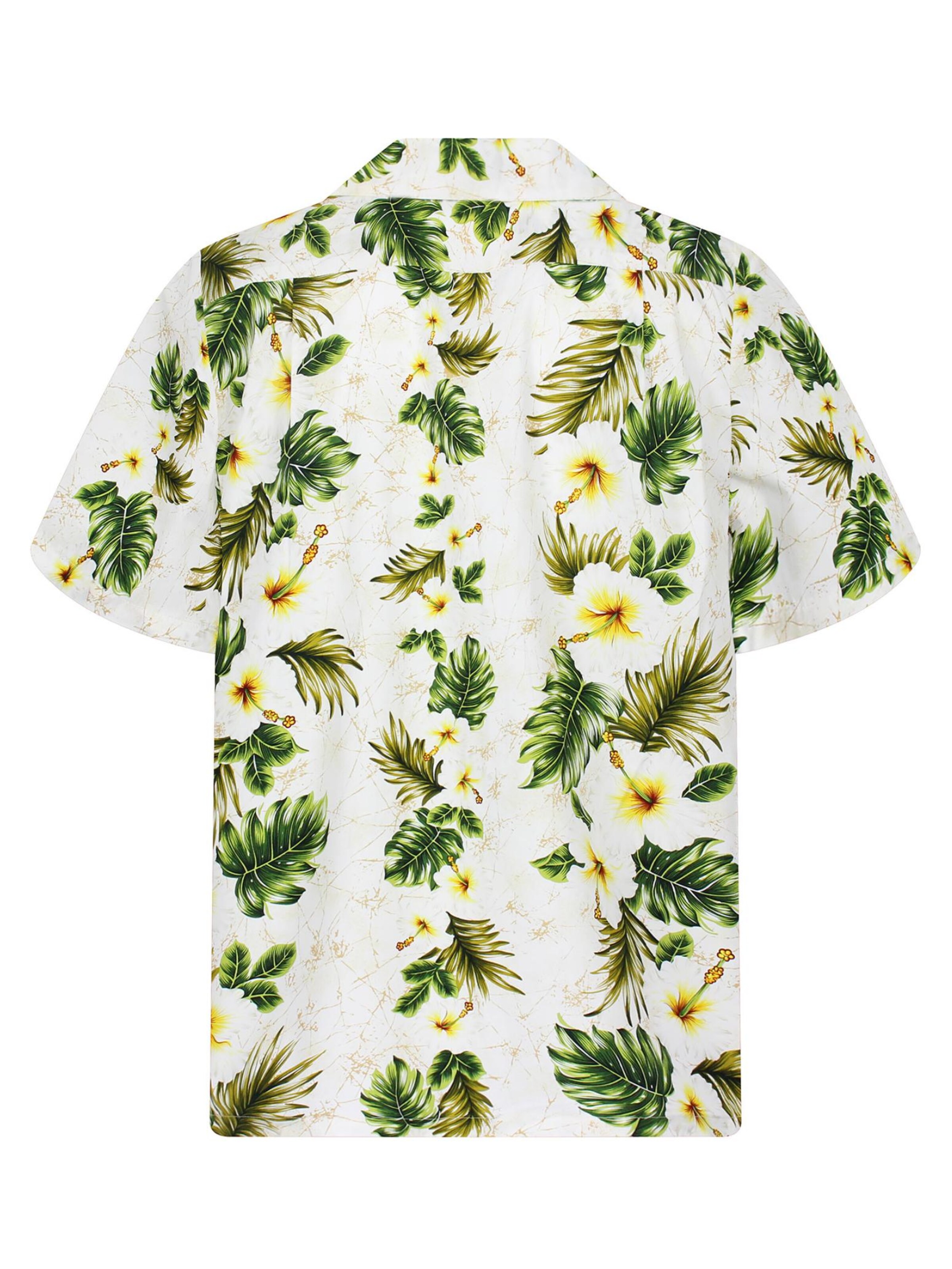 KY's Regular Fit Hemd '3-Farben'‌‌‌‌‌‌‌‌‌ in Weiß