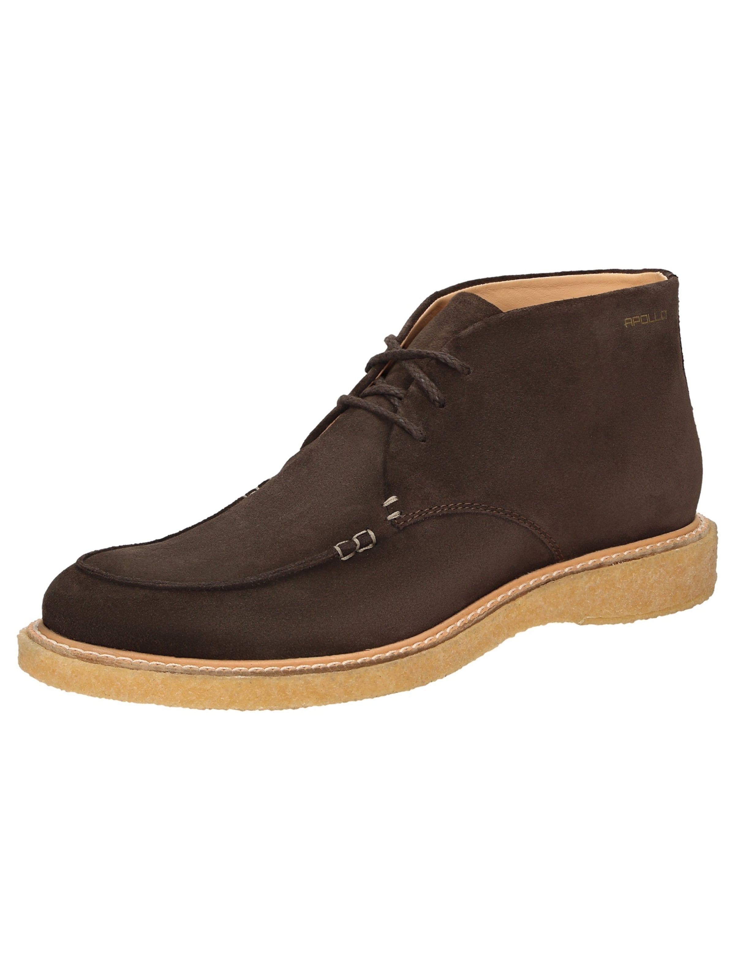 Apollo desert boots best sale