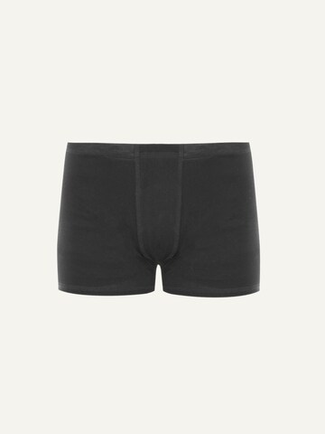 ZUBEK Boxershorts in Schwarz: Vorderseite