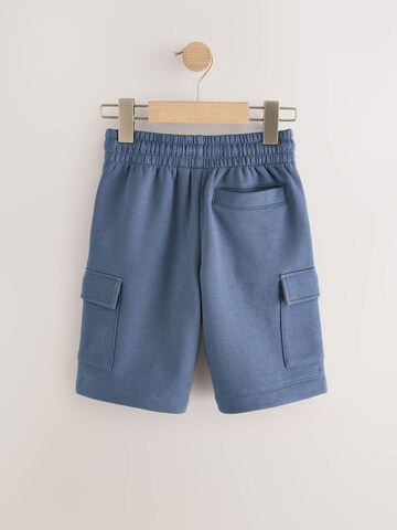 Next Regular Pants in Blue