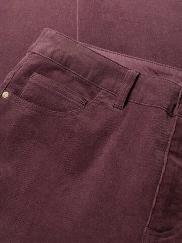 Regular Pantalon 'Lamledra' Seasalt Cornwall en marron