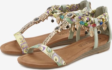 LASCANA Sandalen met riem in Groen