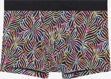 Boxers ' Roald Boxer Briefs ' HOM en mélange de couleurs : devant
