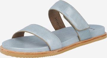 Ca'Shott Mules in Grey: front