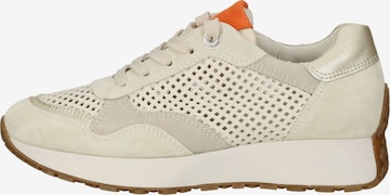 Paul Green Sneaker in Beige