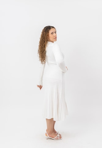 Elara Knit dress in White